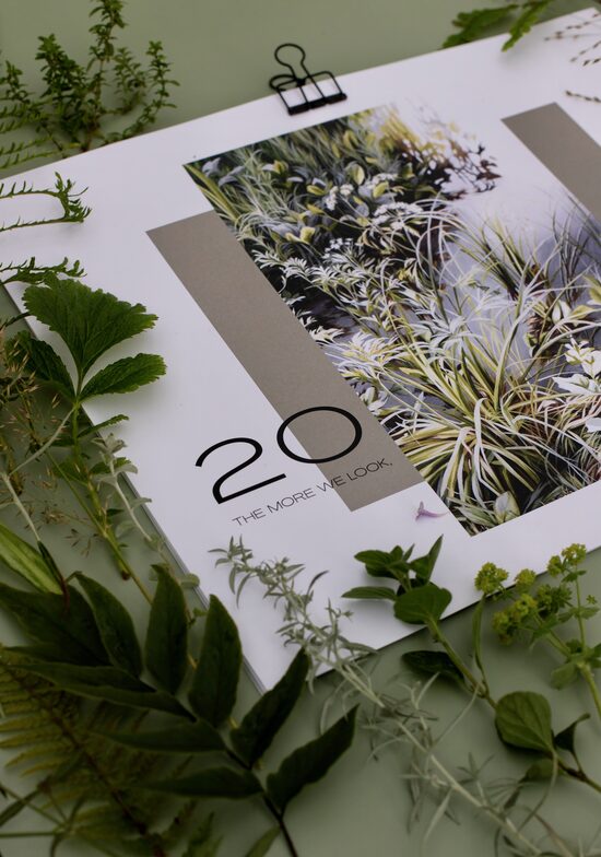 2026. GADA AUGU GLEZNU SIENAS KALENDĀRS